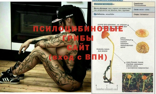 стафф Верхний Тагил