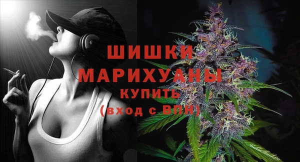 стафф Верхний Тагил